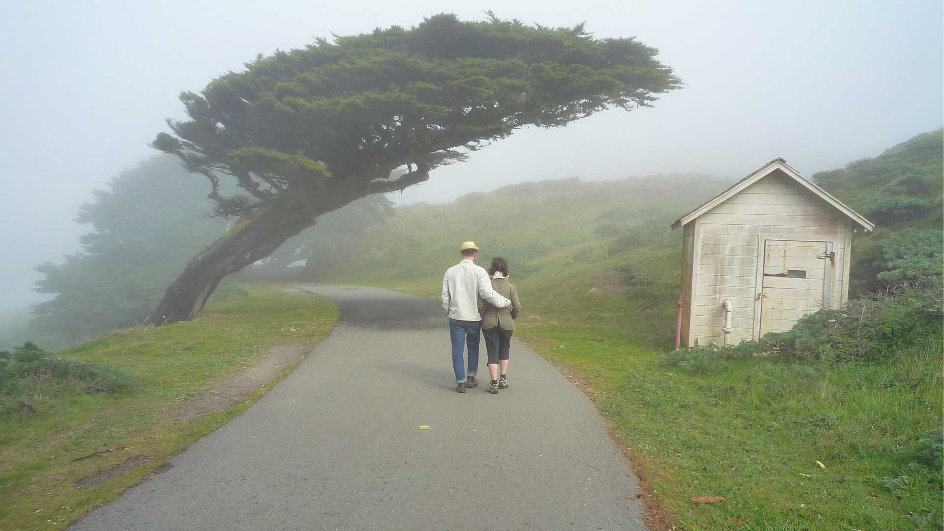 banner image: a couple walking down a misty path towards the leaning tree near the Point Reyes Lighthouse